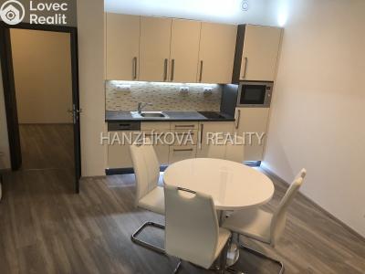 Pronájem bytu 1+KK České Budějovice č. 11