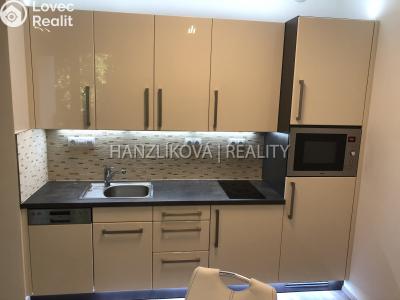 Pronájem bytu 1+KK České Budějovice č. 12