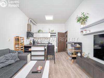 Prodej bytu 2+KK České Budějovice č. 6