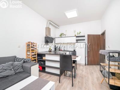 Prodej bytu 2+KK České Budějovice č. 7