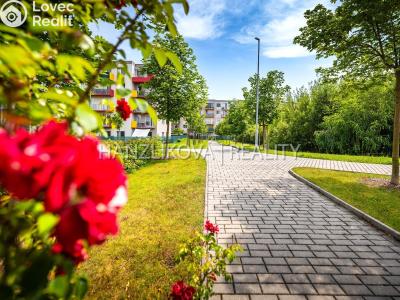 Prodej bytu 2+KK České Budějovice č. 27