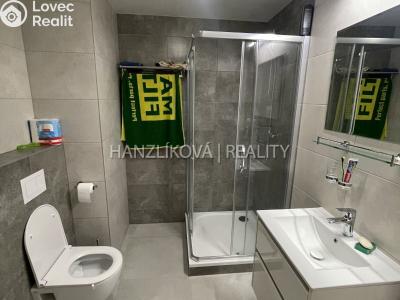 Pronájem bytu 2+KK České Budějovice č. 7