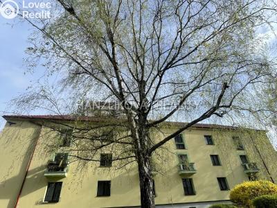 Pronájem bytu 2+1 České Budějovice, U Trojice č. 16