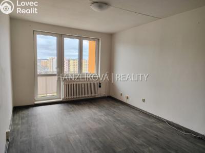 Pronájem bytu 4+1 České Budějovice, K. Štěcha č. 4