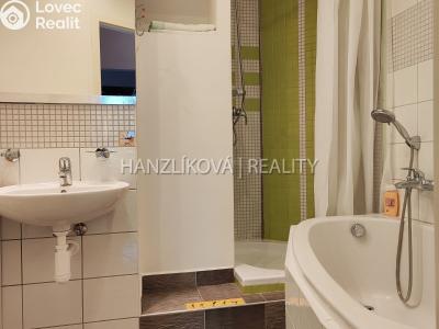 Pronájem bytu 4+1 České Budějovice, K. Štěcha č. 16