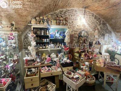 Pronájem obchodního prostoru České Budějovice, Krajinská č. 10