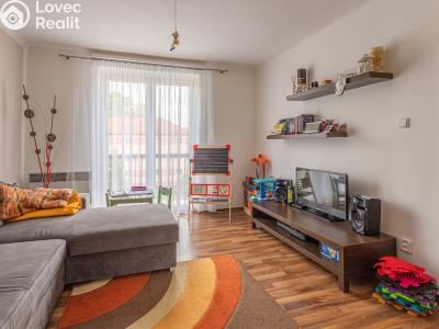 Pronájem bytu 2+1 České Budějovice, Pražská tř. č. 4