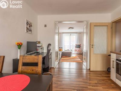 Pronájem bytu 2+1 České Budějovice, Pražská tř. č. 6