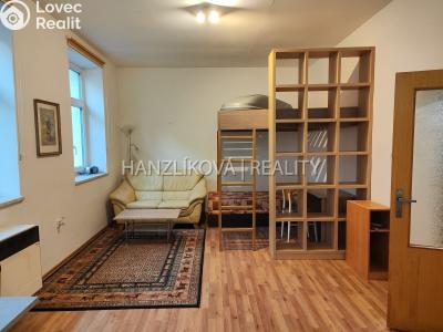 Pronájem bytu 1+KK České Budějovice, B. Smetany č. 2