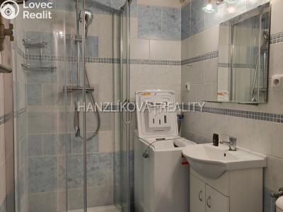 Pronájem bytu 1+KK České Budějovice, B. Smetany č. 7