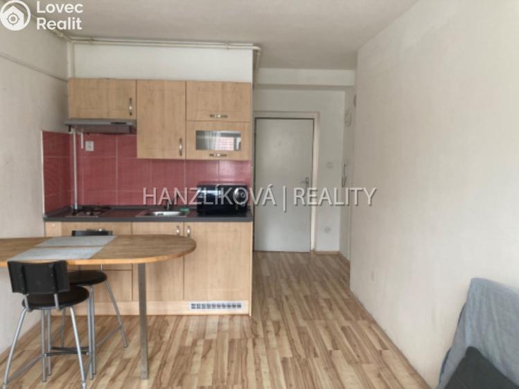 Pronájem bytu 1+KK České Budějovice, Lipenská č. 1