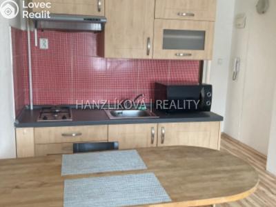 Pronájem bytu 1+KK České Budějovice, Lipenská č. 9