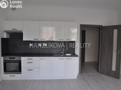 Pronájem bytu 1+KK České Budějovice, Volejbalistů č. 1