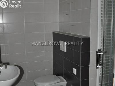 Pronájem bytu 1+KK České Budějovice, Volejbalistů č. 11