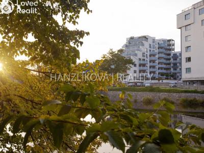 Pronájem bytu 1+KK České Budějovice, Volejbalistů č. 16