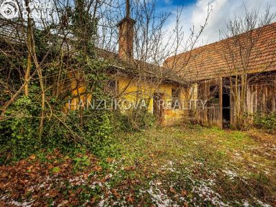 Prodej rodinného domu Suchdol nad Lužnicí, Pražská 203 č. 21