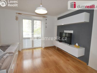 Pronájem bytu 2+1 Lovosice, Resslova č. 2