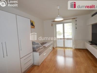 Pronájem bytu 2+1 Lovosice, Resslova č. 3